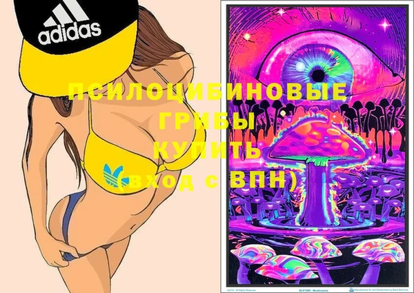 винт Абаза