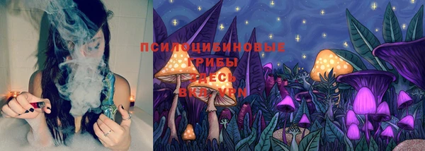 винт Абаза