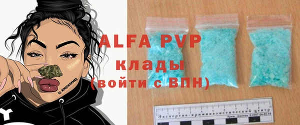 винт Абаза