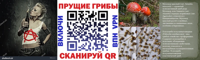 Галлюциногенные грибы GOLDEN TEACHER  Ермолино 